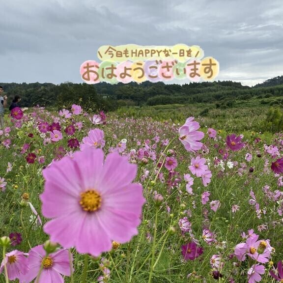 どっちがお好き？