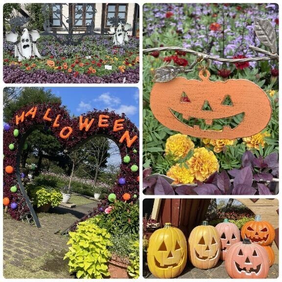 ハッピーハロウィン