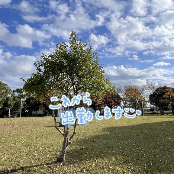 そろそろの予感？