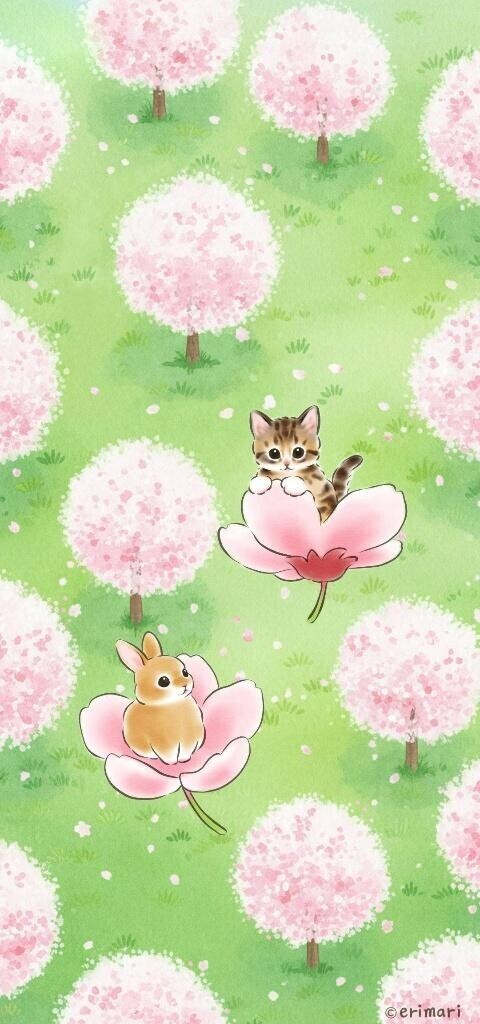 1週間ぶりの木更津♪