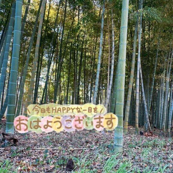 ニョキ