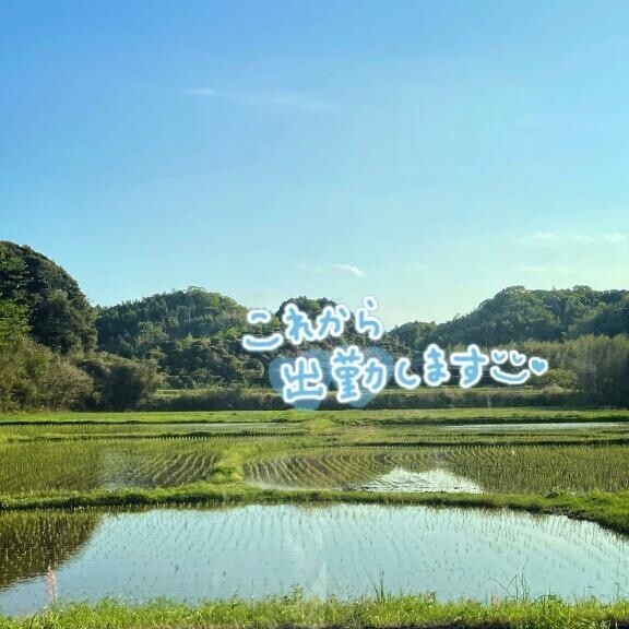 落ち着きます?