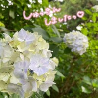 くみこ