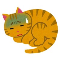遅れるかまたはお休みです