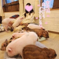 はる