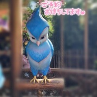 ラスト1枠??