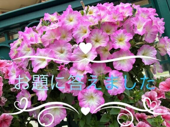 [お題]from:メリーさん