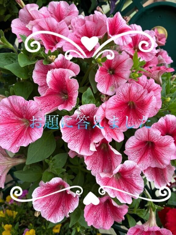 [お題]from:まい姫さん
