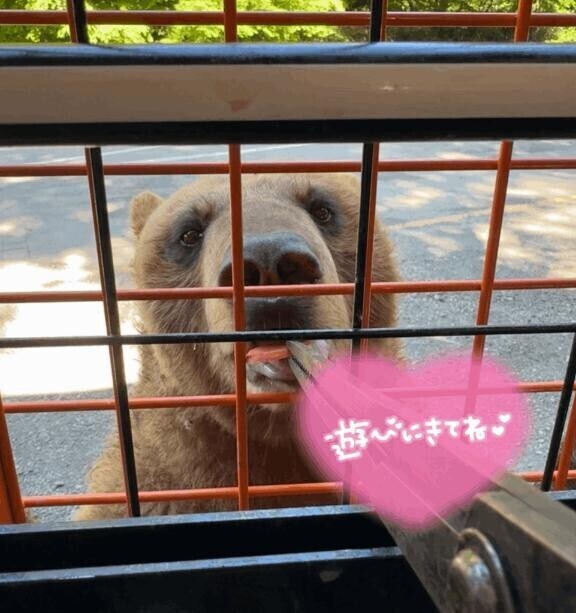[お題]from:トイレいけれへんさん