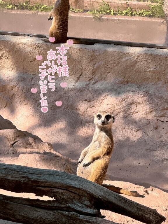 60分の仲良しさん??