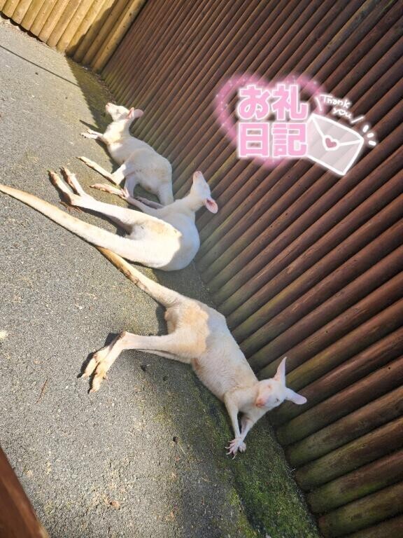 60分のお兄さん??