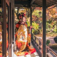 まあや