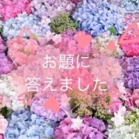 はるひ