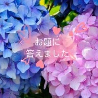 [お題]from:パンダさん