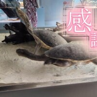 おはよ～?