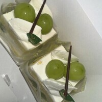 今日のお知らせ?