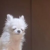 フザけんなよー