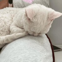 80分仲良しさん??