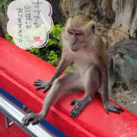 17時から出勤です??