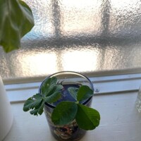 今週もありがとうございました?