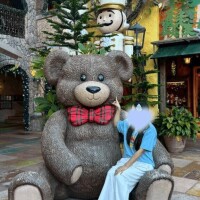 本日12-17時で出勤です??