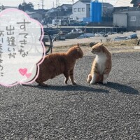 本日15-Lで出勤です??