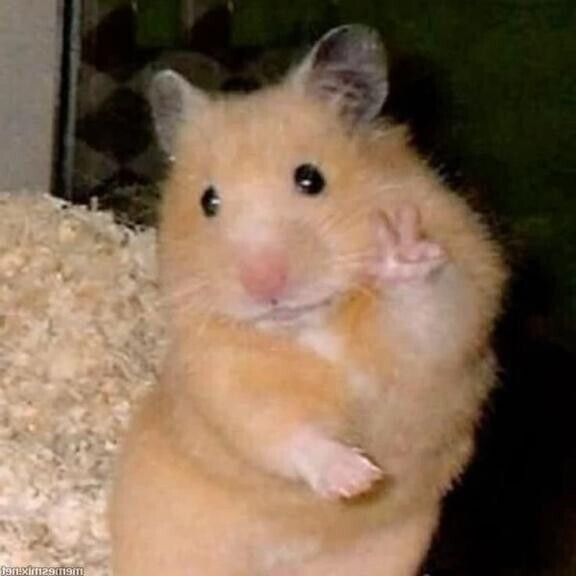 [お題]from:二択だよ♪さん