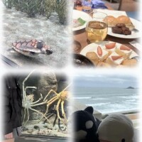 ?お休みVlog2日目??