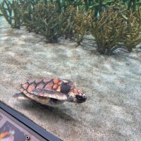 ?9-23時??っ ?-??  ?