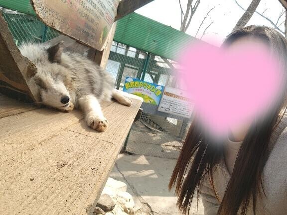 [お題]from:枝豆さん