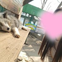 [お題]from:枝豆さん