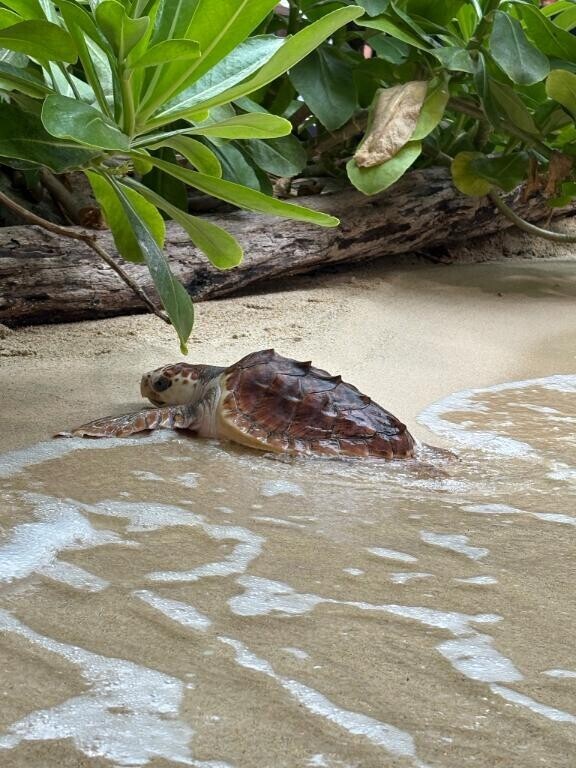 [お題]from:ぴぴさん