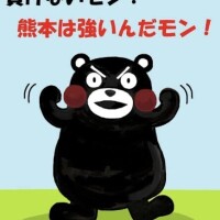 ありがとうだモン🐻