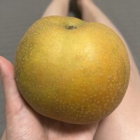 旬の物を楽しめるようになりました