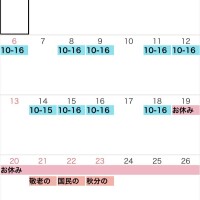 若菜(わかな)