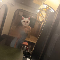 今からっ🩷