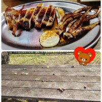 お礼♡と11月の予定です(⁠*⁠´⁠ω⁠｀⁠*⁠)