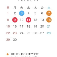 11月前半の出勤日