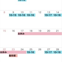 11月の予定
