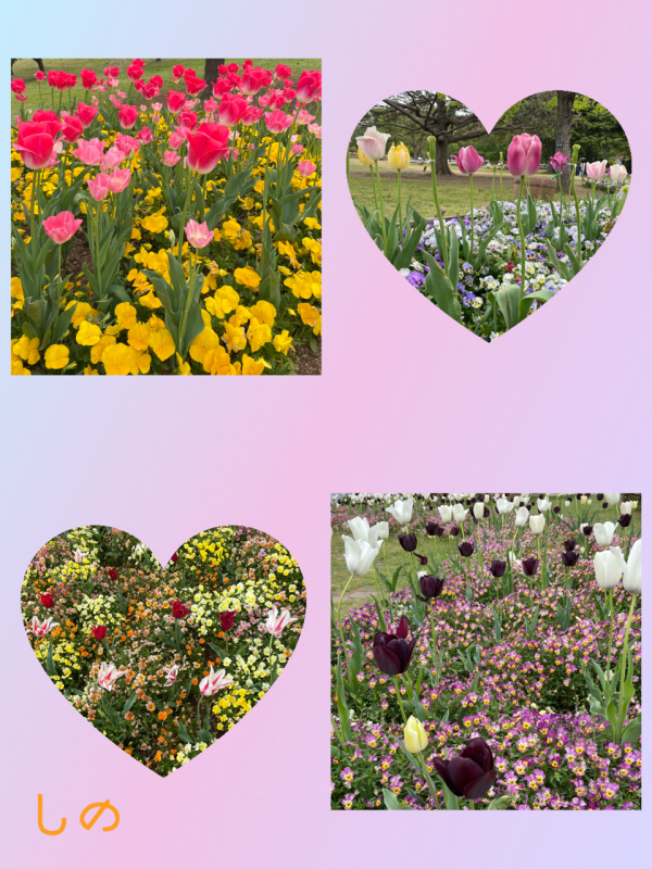 おはようございます♡