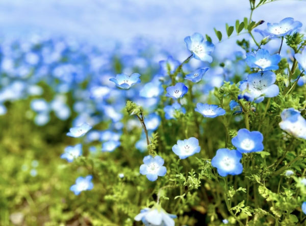 満喫な休日🌸💙