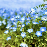 満喫な休日🌸💙