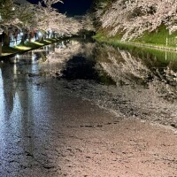 志乃(しの)