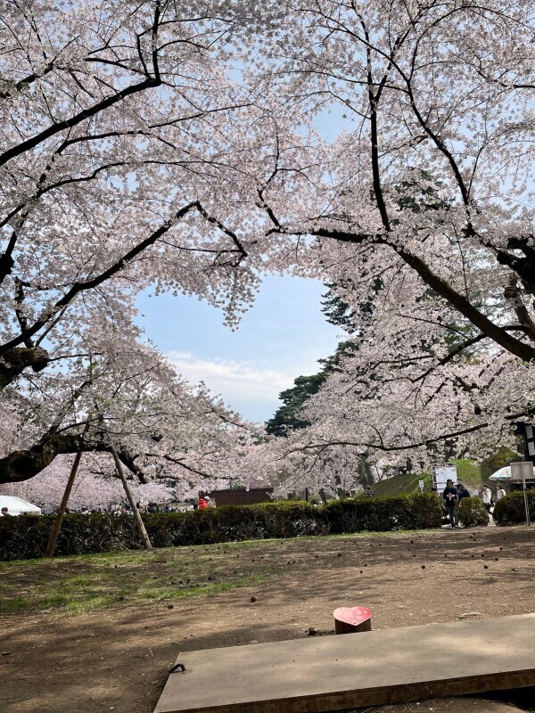 早速ありがとう♡