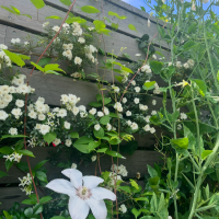 とっておきの場所🥀