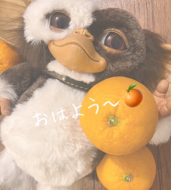 1日何個まで？