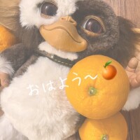 1日何個まで？