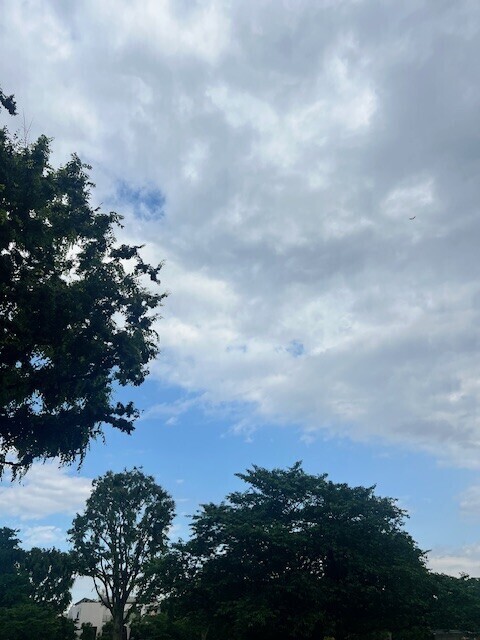 今日はチルタイム🌱