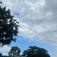凪(なぎ)