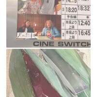夏すぎる！！